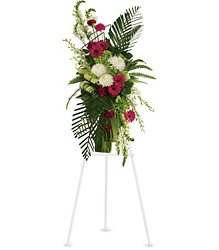 Gerberas and Palms Spray Cottage Florist Lakeland Fl 33813 Premium Flowers lakeland